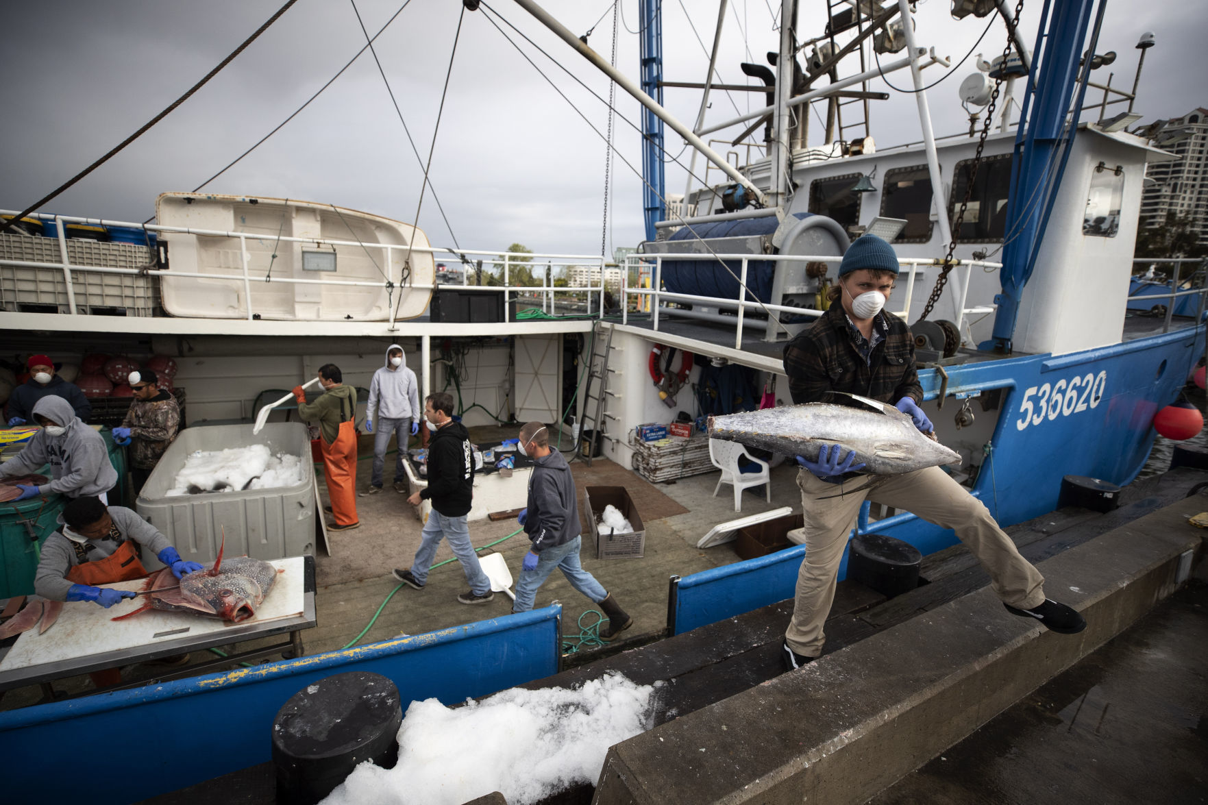 Virus Outbreak Returning From Sea